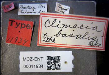 Media type: image;   Entomology 11934 Aspect: labels